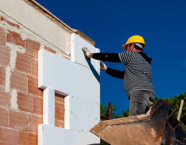 Best Crawl Space Insulation  in Toledo, IL
