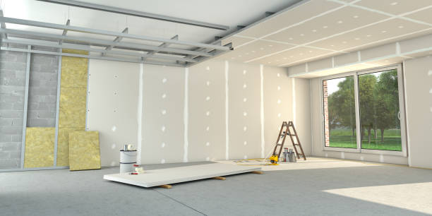 Best Insulation Removal  in Toledo, IL