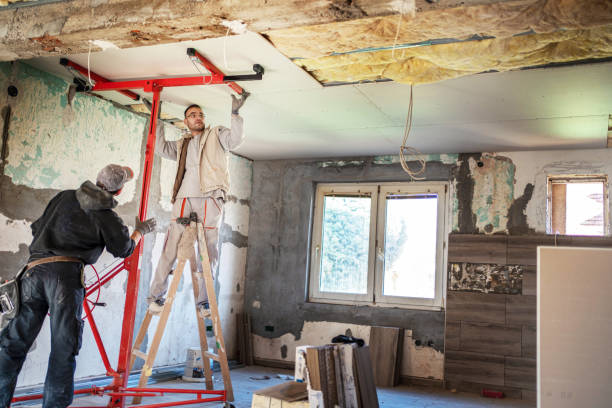 Best Professional Insulation Contractor  in Toledo, IL