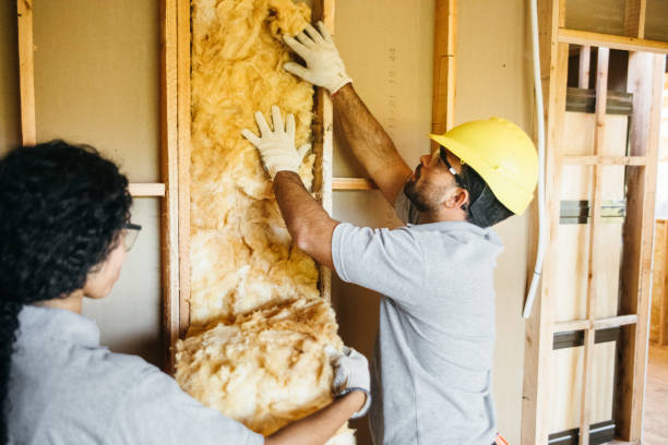 Insulation Repair Services in Toledo, IL
