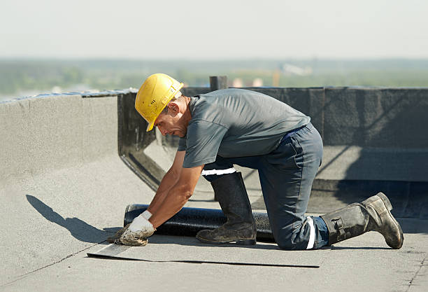 Best Soundproof Insulation Installation  in Toledo, IL