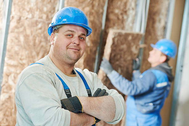 Best Insulation Inspection Services  in Toledo, IL