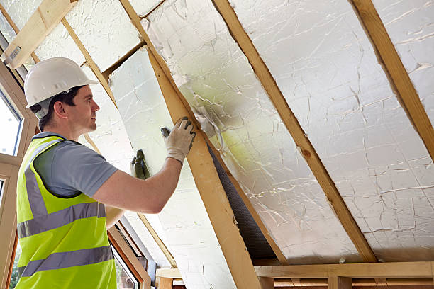 Best Garage Insulation Installation  in Toledo, IL